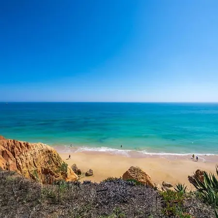 Grande - Superstar Luxury - Beachtop